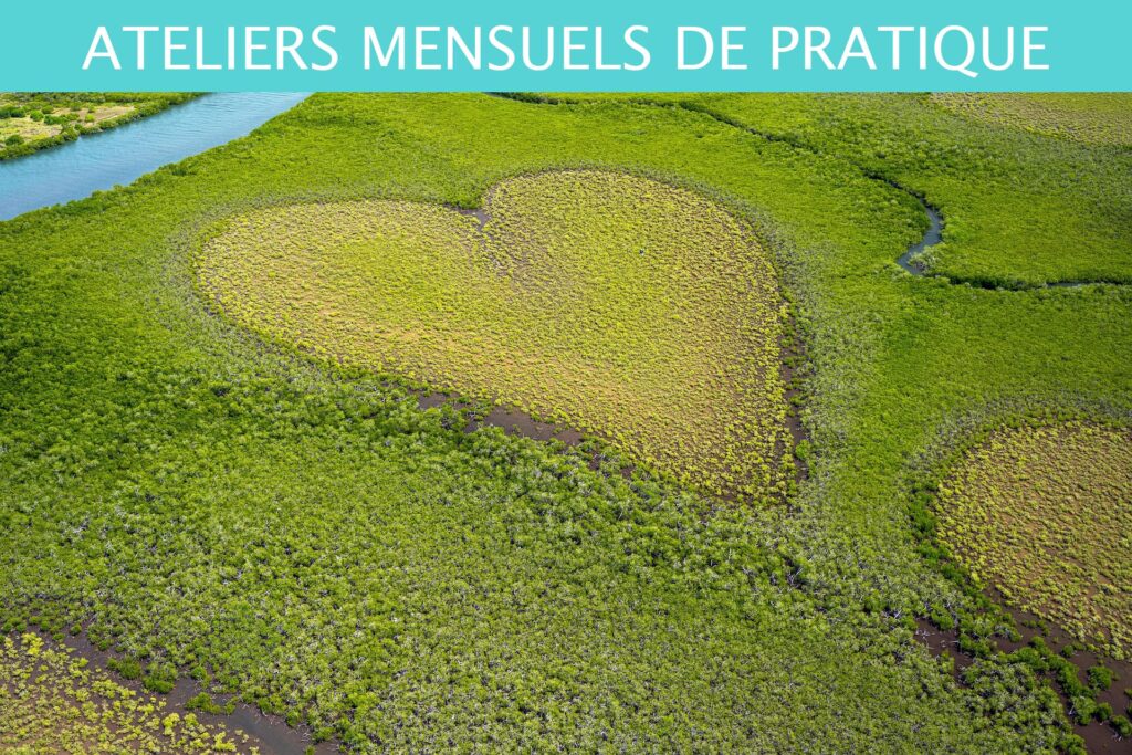 VERS LA NOUVELLE TERRE  - Atelier mensuel du 13 mars 2026