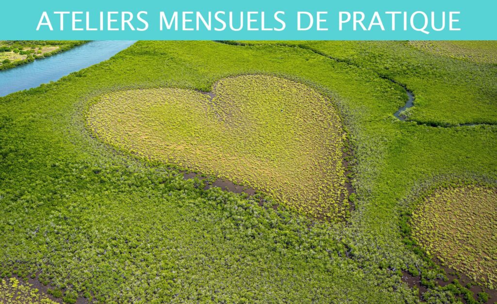 VERS LA NOUVELLE TERRE  - Atelier mensuel du 13 mars 2026